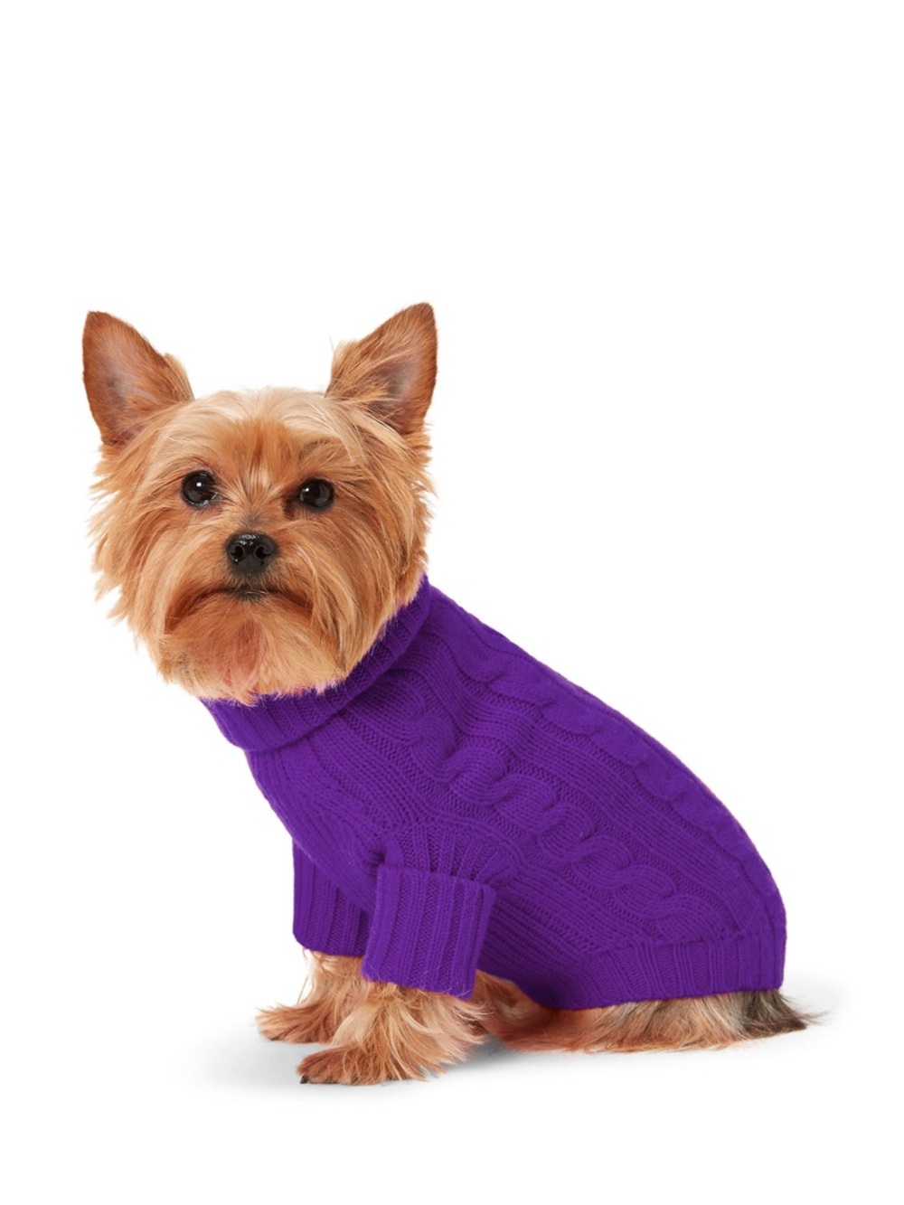 Polo Ralph Lauren Purple Cable Cashmere Dog Sweater